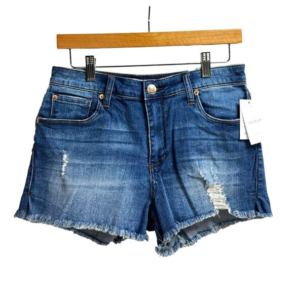 STS Blue Pants - STS Blue Aubrey High Rise Denim Shorts Size 28 Distressed Frayed Hem Casual Summ